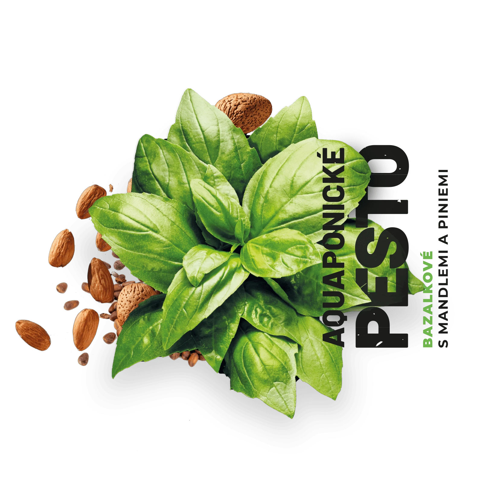 Grafický design obalu Pesto