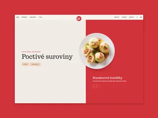 Vytvorenie jednoduchého webu pre výrobcu LEF