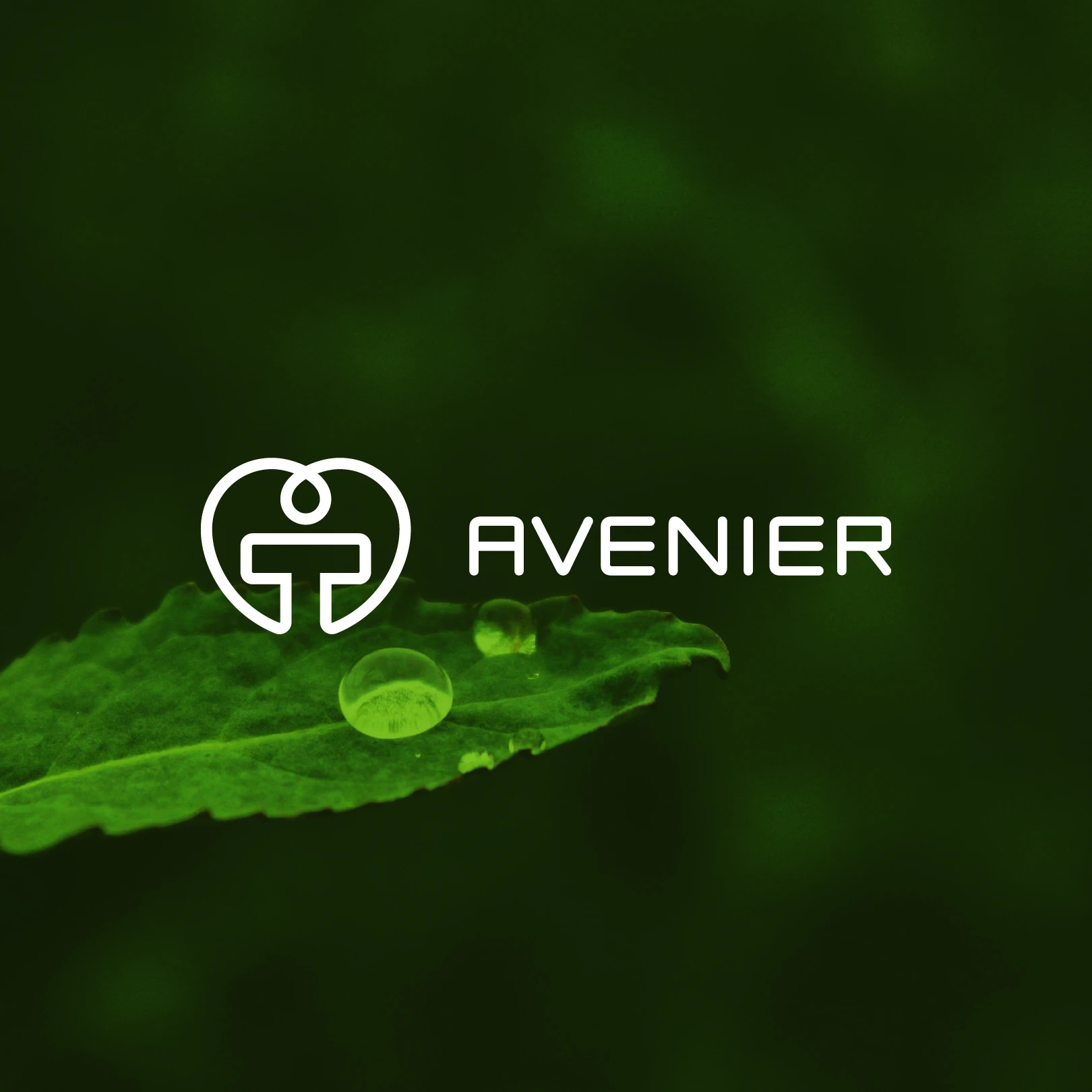 Modernizácia firemného loga AVENIER