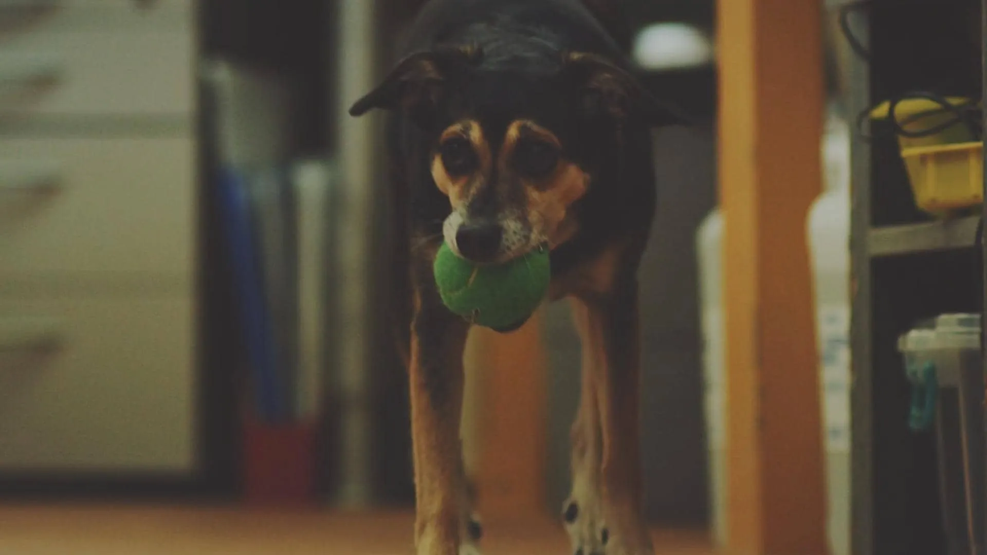 Séria YouTube videí #SÍLA PRÍBEHU